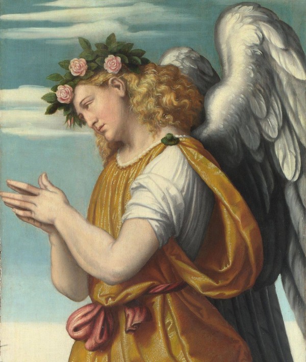 An Adoring Angel by Moretto da Brescia